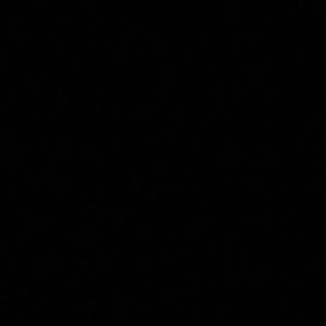 Meet your Posher, Omar